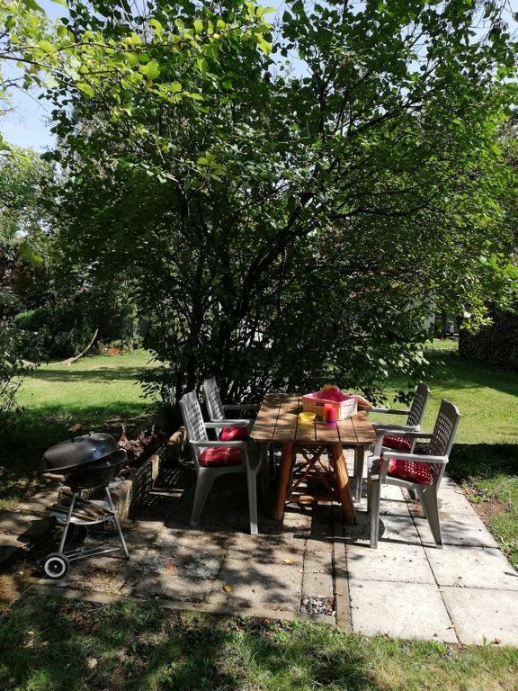 Ober-Abtsteinach Ferienwohnung Christiane - Neue, Moderne Ferienwohnung Mit Blick Ins Gruene מראה חיצוני תמונה